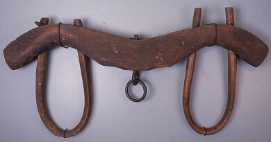 忌み嫌う風習のある民と結婚や同盟を結ばない