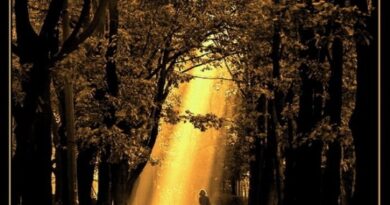 わたしは自分の道を思い返し、立ち帰ってあなたの定めに足を向けます