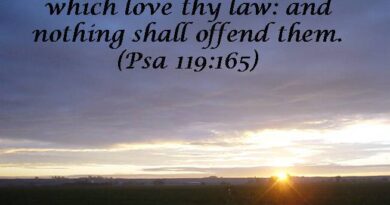 Abundant Peace