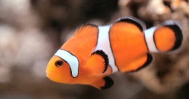 一日たりとも心に恥じるところはない
