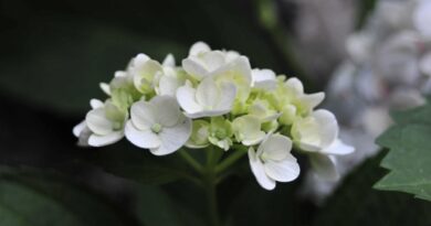 太陽の下に、益となるものは何もない