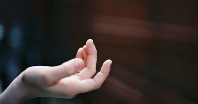 handhand