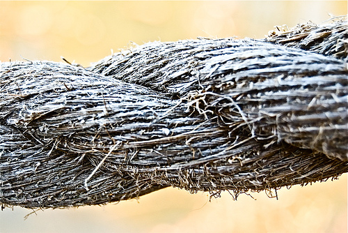a threefold cord