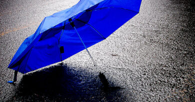 20071022024218_blue-umbrella-in-the-rain-700