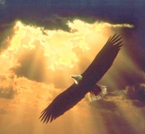 EaglesSoaring