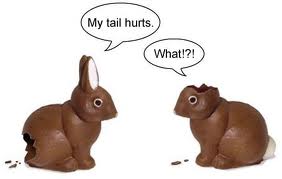 foolish-bunnies