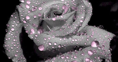 tears-of-love-photomanipulation