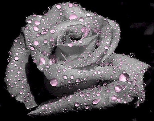 tears-of-love-photomanipulation