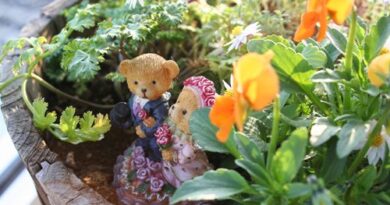 IMG_0059_R