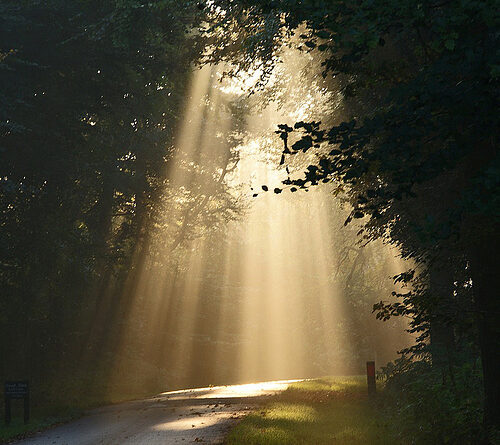 beams-on-the-road