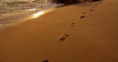 footprints