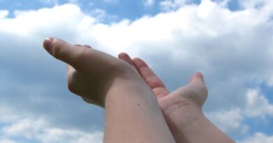 hands