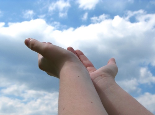 hands