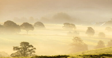 healing-land