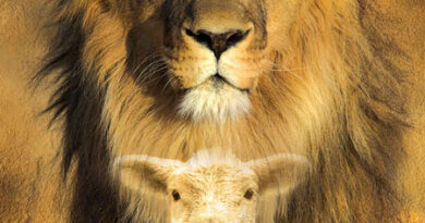 lion-lamb-02