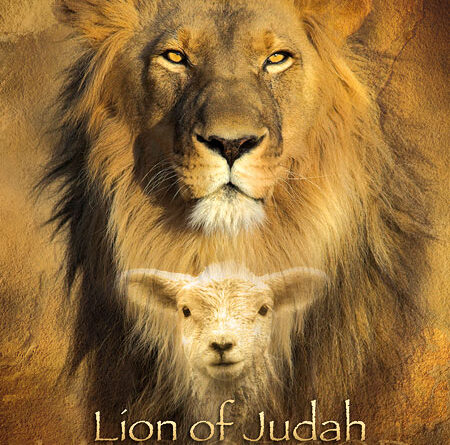 lion-lamb-02