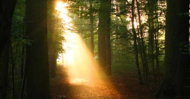 Walking-With-God001