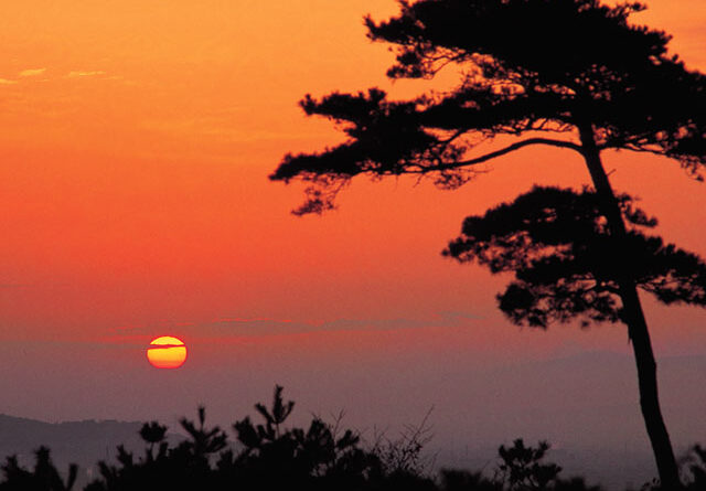 sunrise