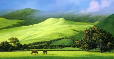 waimea-pastures