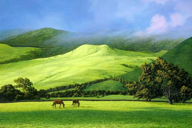 waimea-pastures