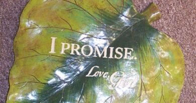 promise-on-leaf