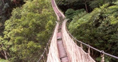 way-of-life-n-death