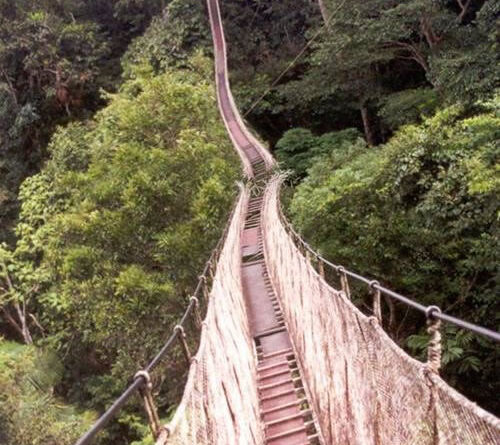 way-of-life-n-death