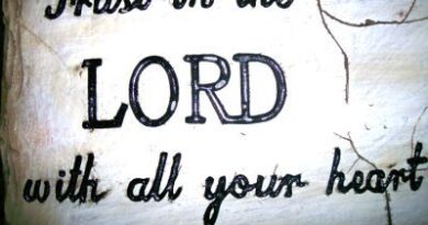 trust-in-the-lord