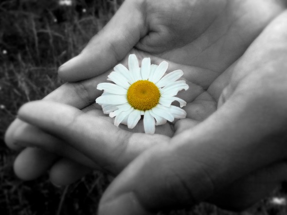 Generosity
