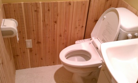 2FL-toilet-inside1