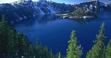 nature001