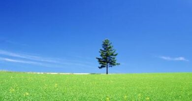 nature006