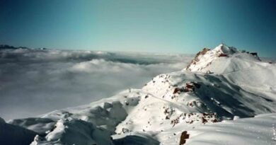 nature007-s