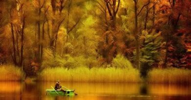 nature008