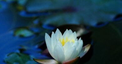 nature009
