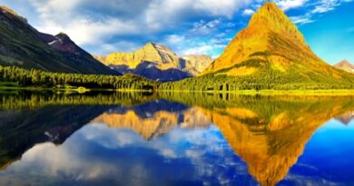 nature021-s