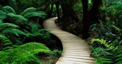 pathway