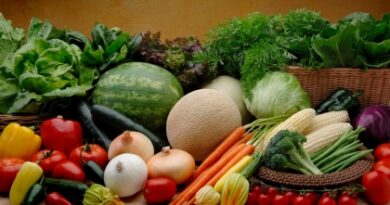 Vegetable-Basket044