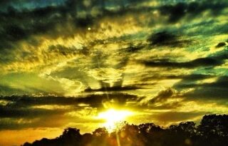 nature041