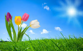 nature043
