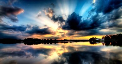 nature046