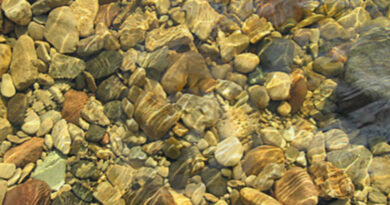 stone-river-bed-5213485