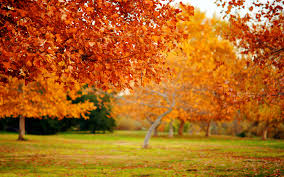 nature052