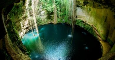 nature053