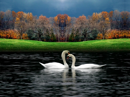 nature054