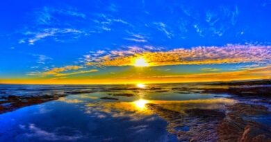 nature055