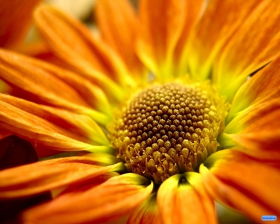 nature061