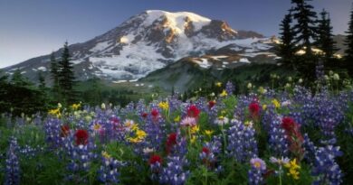 nature062