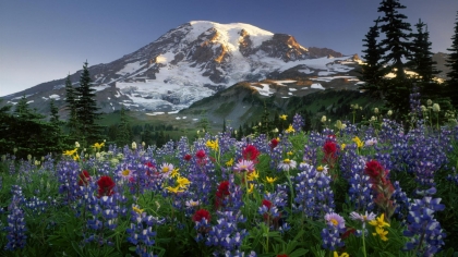 nature062