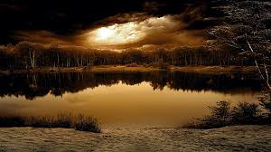 nature065
